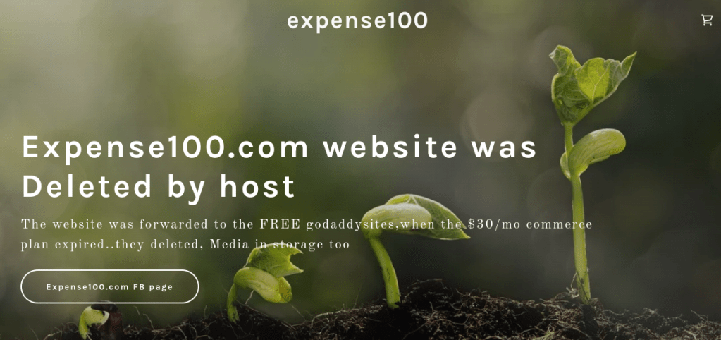 https://expense100.com